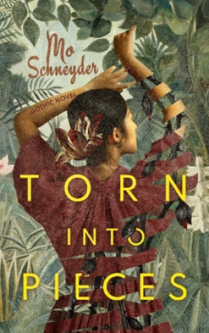 Knjiga Torn into Pieces Mo Schneyder