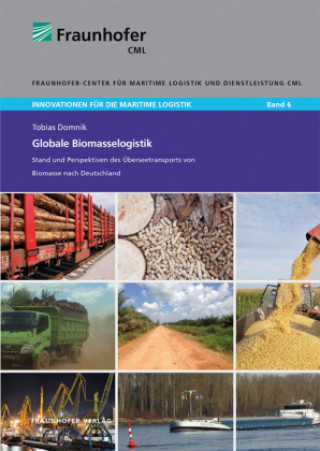Boek Globale Biomasselogistik. Tobias Domnik