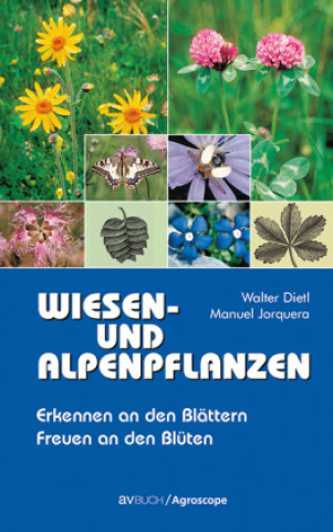 Książka Wiesen- und Alpenpflanzen Walter Dietl