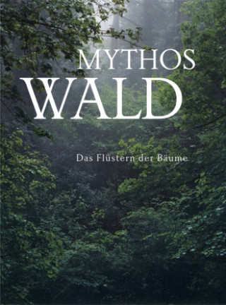 Carte Mythos Wald. Das Flüstern der Blätter Kunsthalle Emden