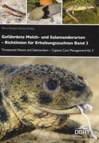 Könyv Gefährdete Molch- und Salamanderarten der Welt - Richtlinien für Erhaltungszuchten. Bd.3 Wolf-Rüdiger Große