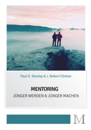 Boek Mentoring Paul D. Stanley