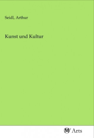 Boek Kunst und Kultur Arthur Seidl