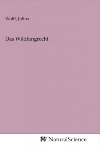 Kniha Das Wildfangrecht Julius Wolff