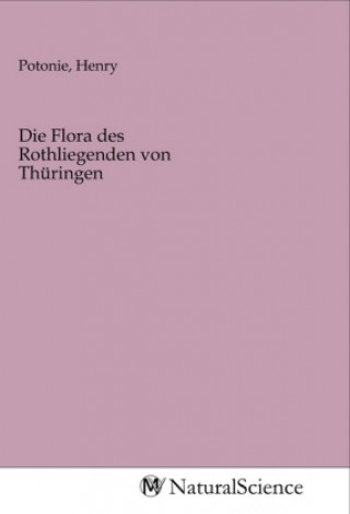 Carte Die Flora des Rothliegenden von Thüringen Henry Potonie