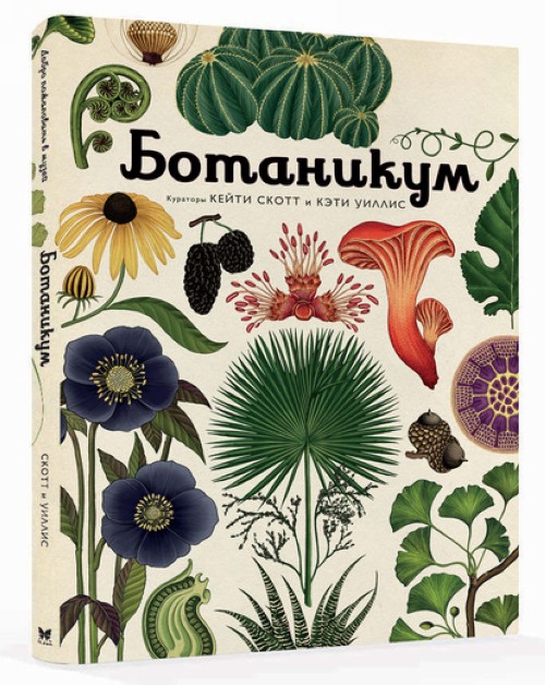 Kniha Ботаникум 