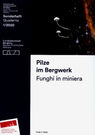 Könyv Pilze im Bergwerk Christian Terzer