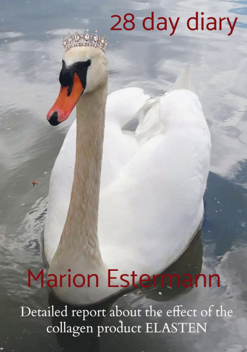 Buch 28 day diary Marion Estermann