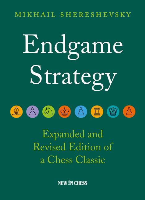 Kniha Endgame Strategy 