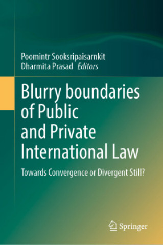 Книга Blurry Boundaries of Public and Private International Law Poomintr Sooksripaisarnkit