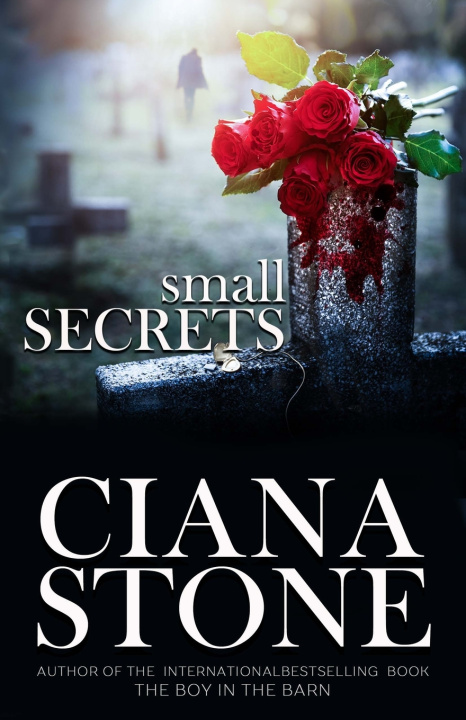 Knjiga Small Secrets Stone Ciana Stone