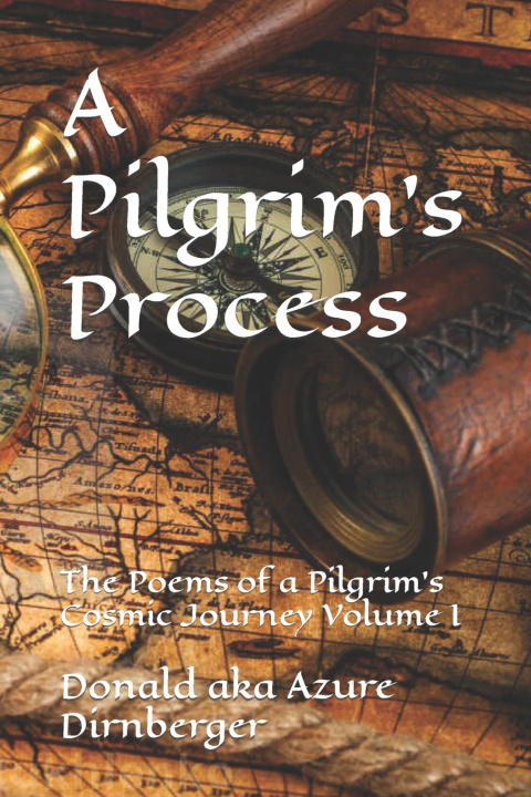 Kniha Pilgrim's Process Dirnberger Donald aka Azure Dirnberger
