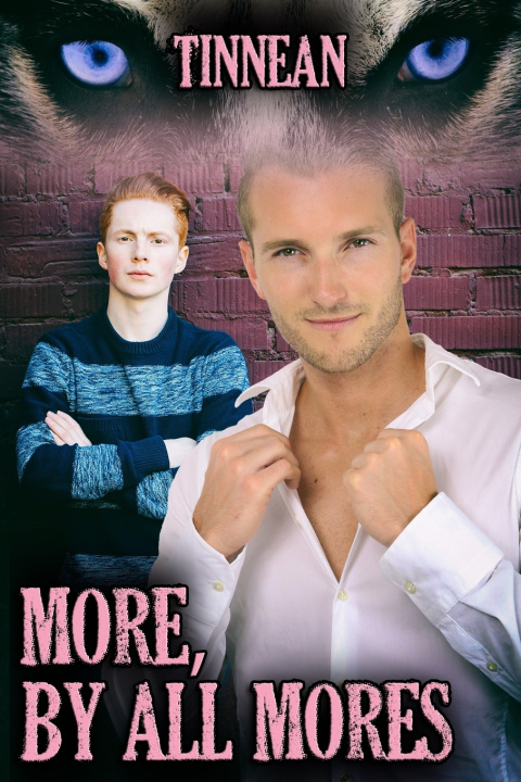 Libro More, by All Mores Tinnean