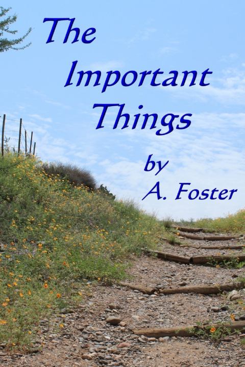 Knjiga Important Things Foster Ann Foster