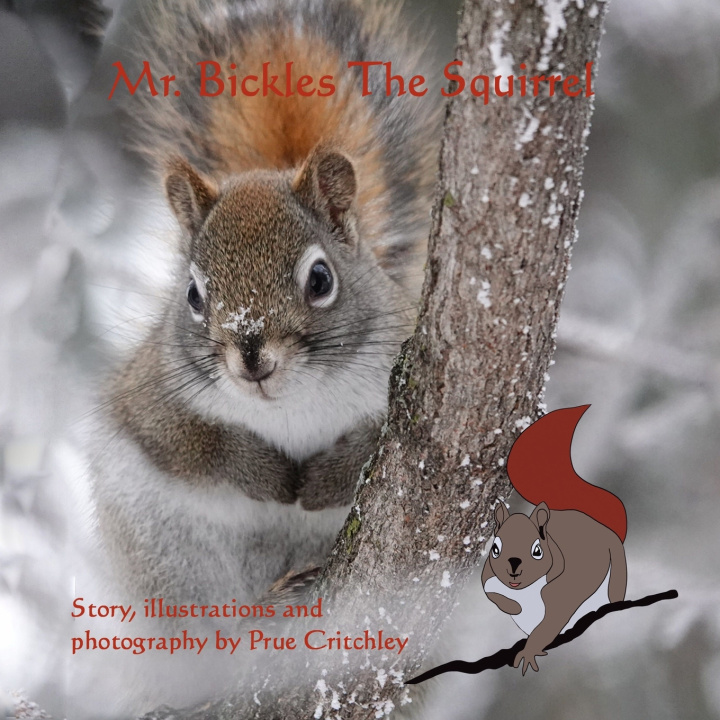 Knjiga Mr. Bickles The Squirrel Critchley Prue Critchley