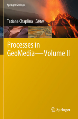 Knjiga Processes in GeoMedia - Volume II Tatiana Chaplina