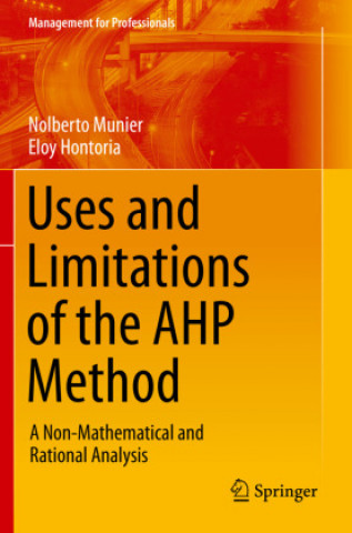 Könyv Uses and Limitations of the AHP Method Nolberto Munier