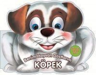 Knjiga Köpek 