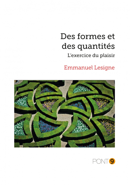 Knjiga Des formes et des quantités Monsieur Emmanuel Lesigne