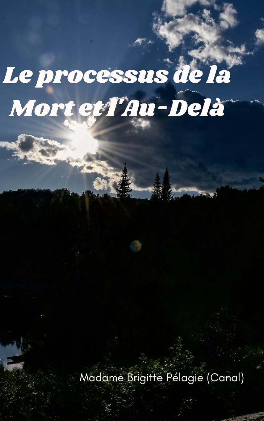 Kniha PROCESSUS DE LA MORT ET L'AU-DELA (couverture rigide) Madame Brigitte Pélagie