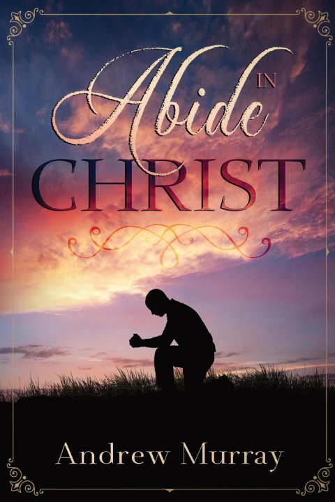 Boek Abide in Christ Andrew Murray