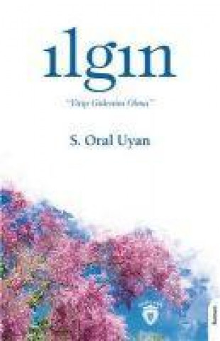 Knjiga Ilgin 
