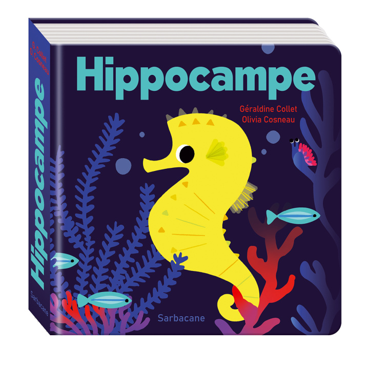 Knjiga Hippocampe COLLET GERALDINE/COSNEAU OLIVIA