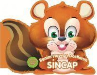 Knjiga Sincap 