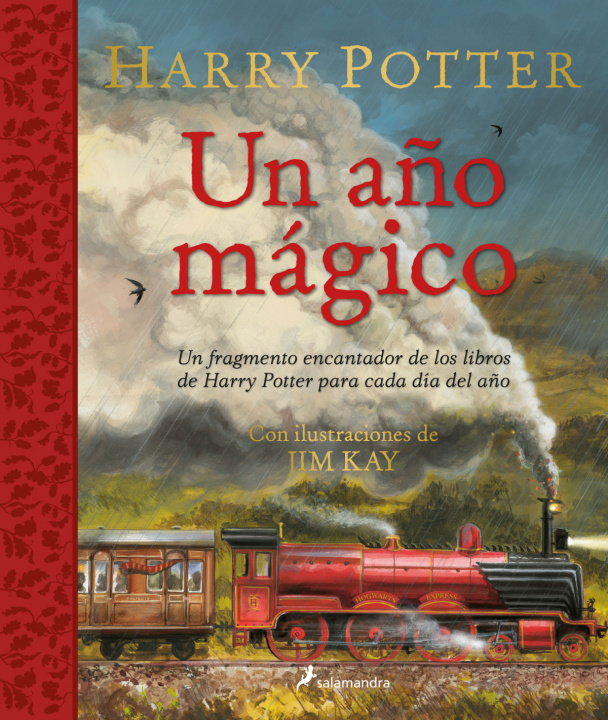 Kniha Harry Potter: Un año mágico JIM KAY