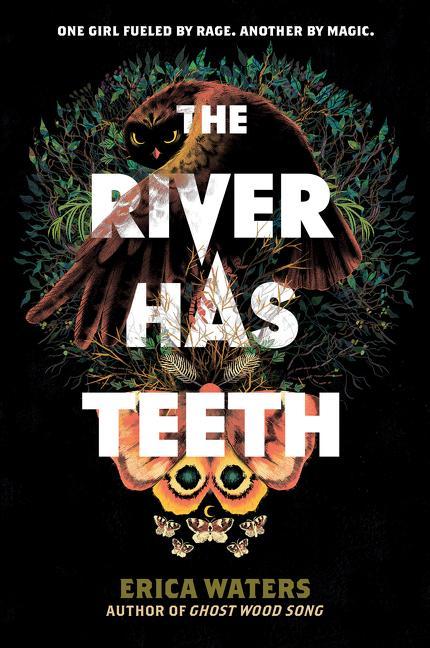 Könyv River Has Teeth 