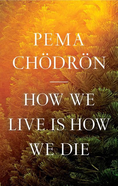 Könyv How We Live Is How We Die 