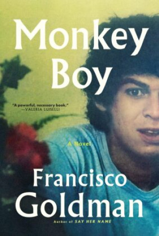 Book Monkey Boy Francisco Goldman