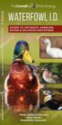 Book WATERFOWL ID SET KEVIN J. MCGOWAN