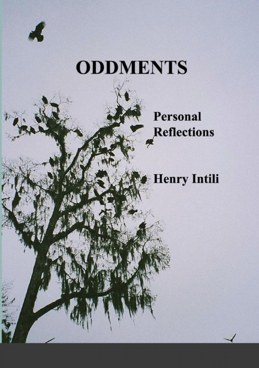 Knjiga Oddments Henry Intili