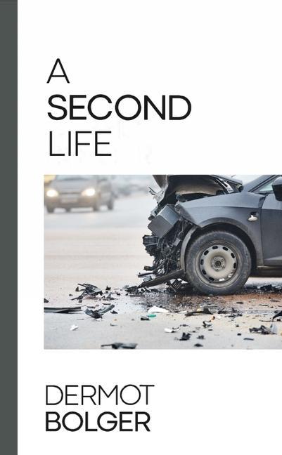 Boek Second Life Dermot Bolger