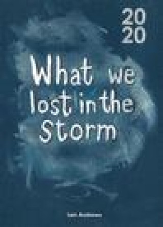 Buch What We Lost In The Storm Iain Andrews