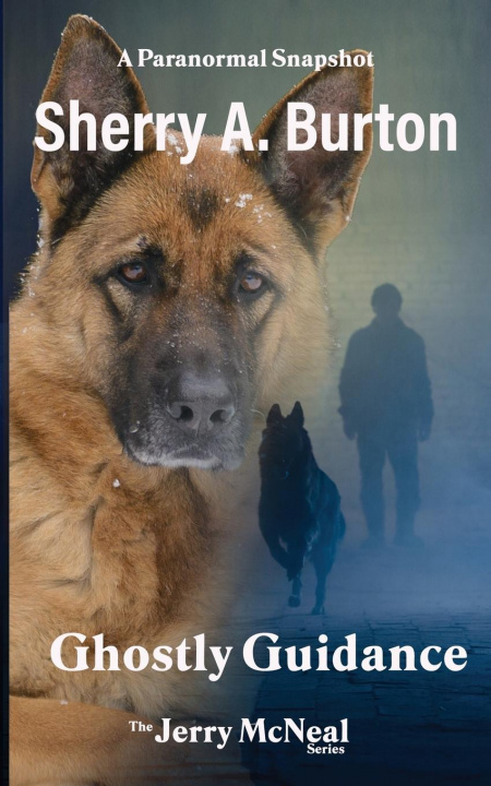 Boek Ghostly Guidance Sherry A. Burton