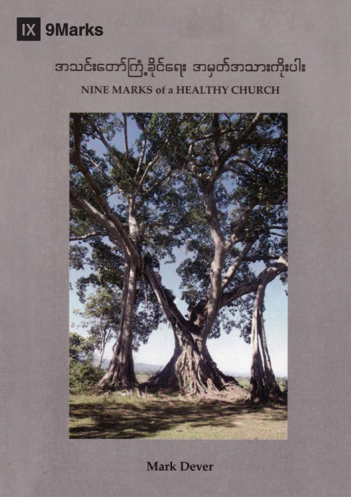 Kniha Nine Marks of a Healthy Church (Burmese) 