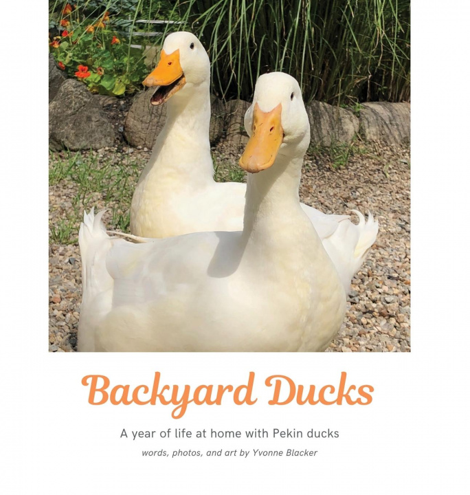 Книга Backyard Ducks 