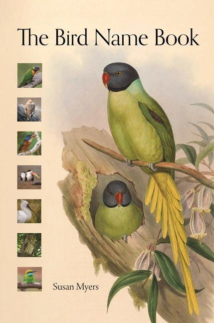 Kniha Bird Name Book Susan Myers