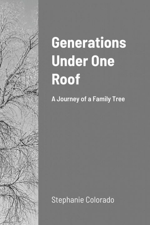 Knjiga Generations Under One Roof Stephanie Morse