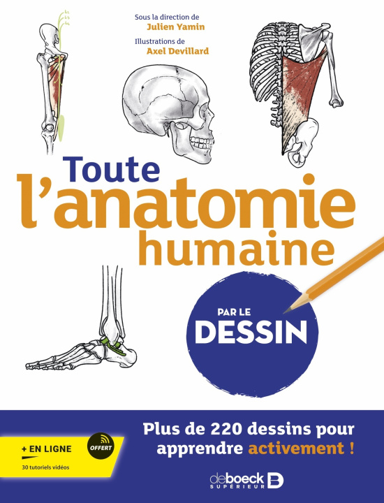 Carte Toute l’anatomie humaine par le dessin collegium