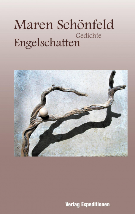 Knjiga Engelschatten 