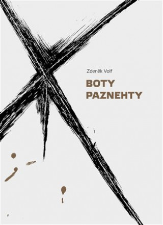 Könyv Boty Paznehty Zdeněk Volf
