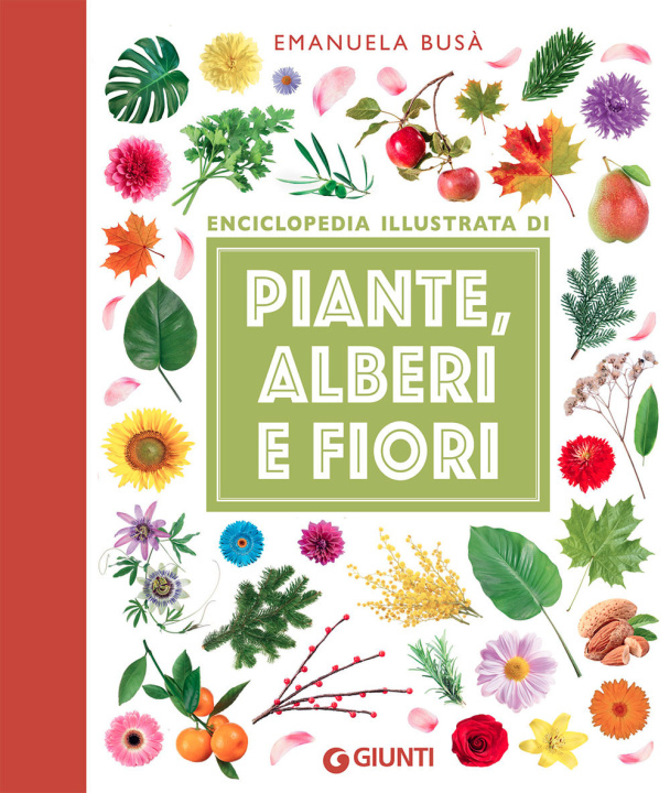 Kniha Enciclopedia illustrata di piante, alberi e fiori Emanuela Busà