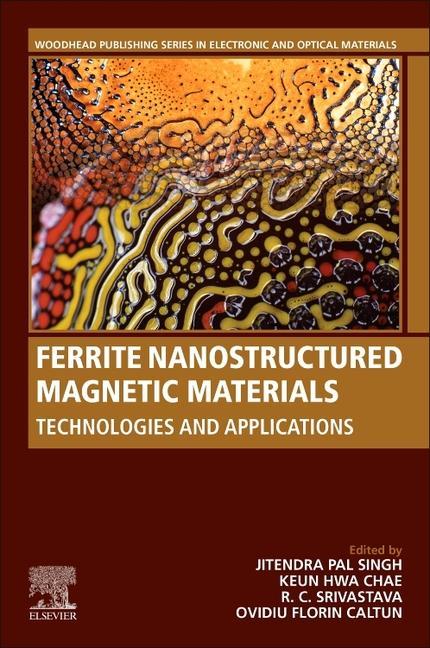 Kniha Ferrite Nanostructured Magnetic Materials Jitendra Singh