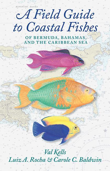 Книга Field Guide to Coastal Fishes of Bermuda, Bahamas, and the Caribbean Sea Valerie A. Kells