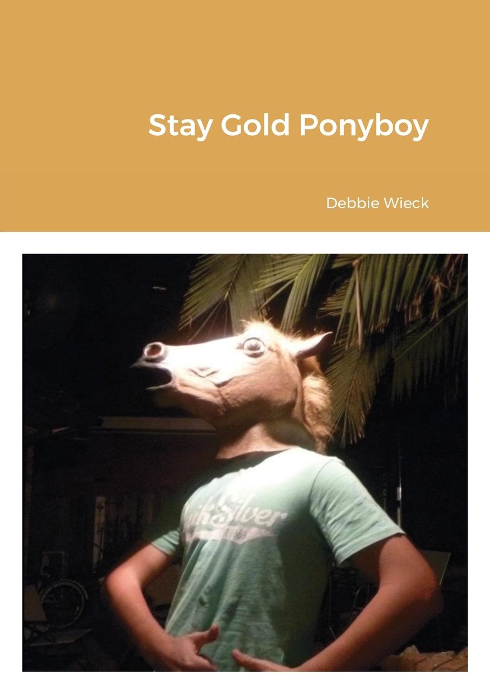 Knjiga Stay Gold Pony Boy Debbie Wieck