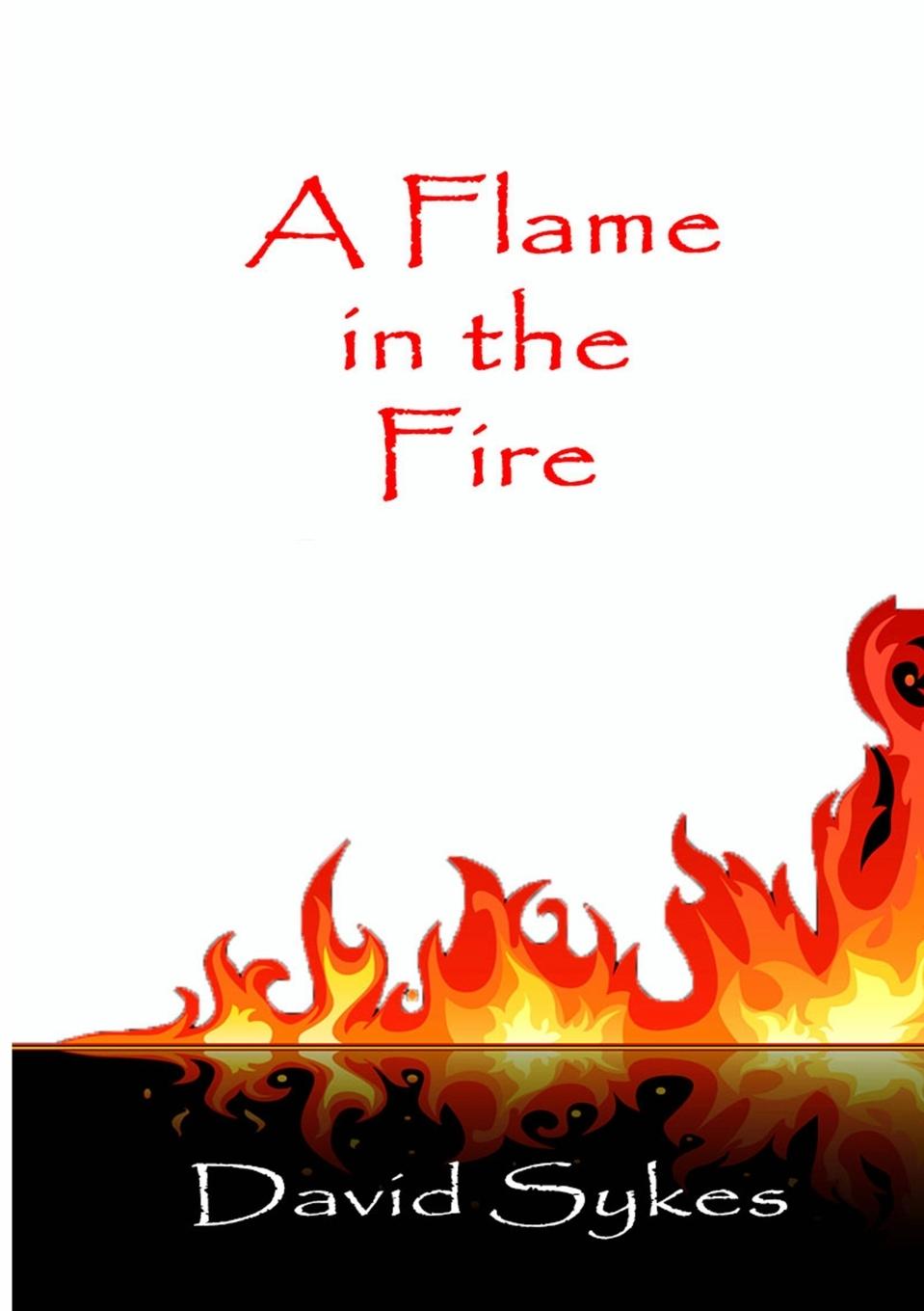 Buch Flame in the Fire David Sykes