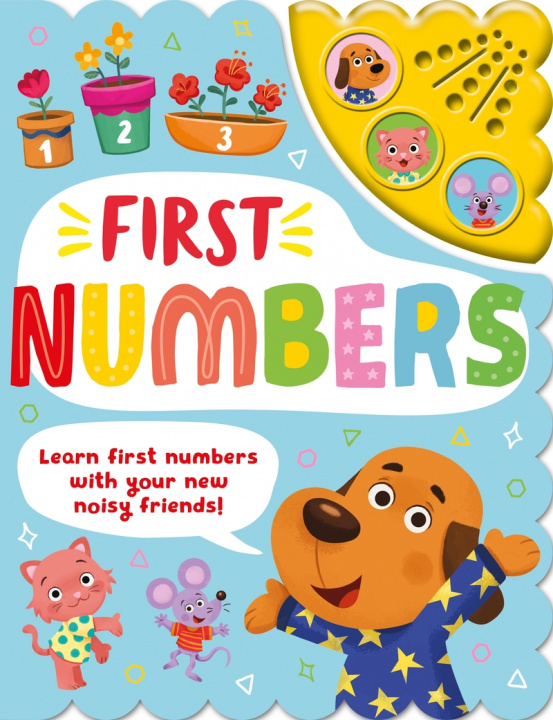 Knjiga First Numbers IGLOOBOOKS